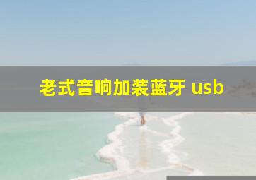 老式音响加装蓝牙 usb